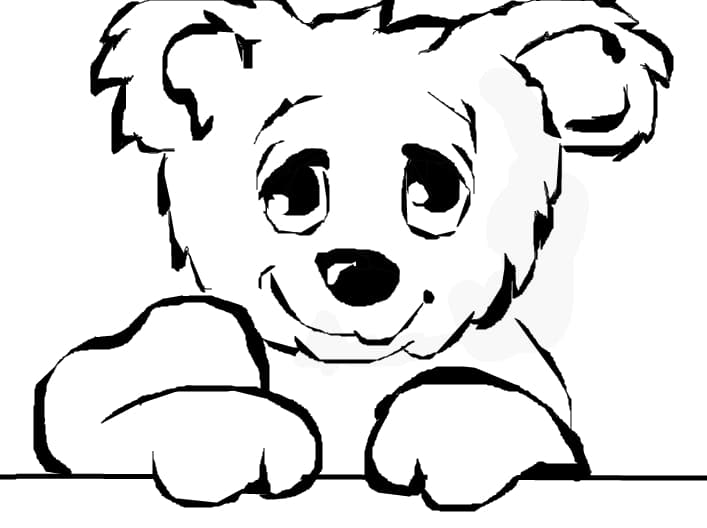 cute bear
