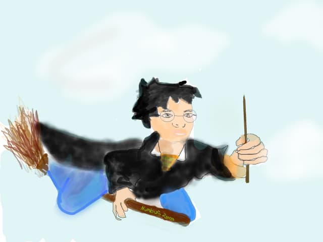 HARRY POTTER