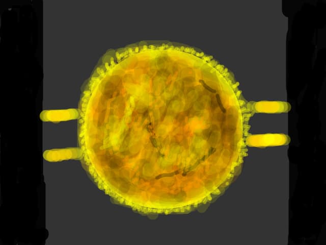 De oro del planeta