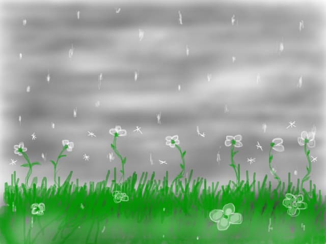 `florile ploii`