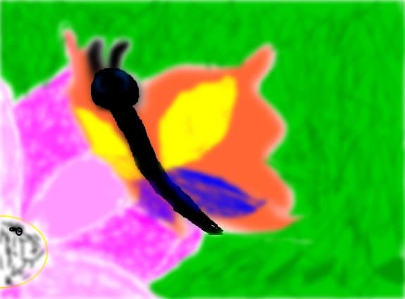 fluturas