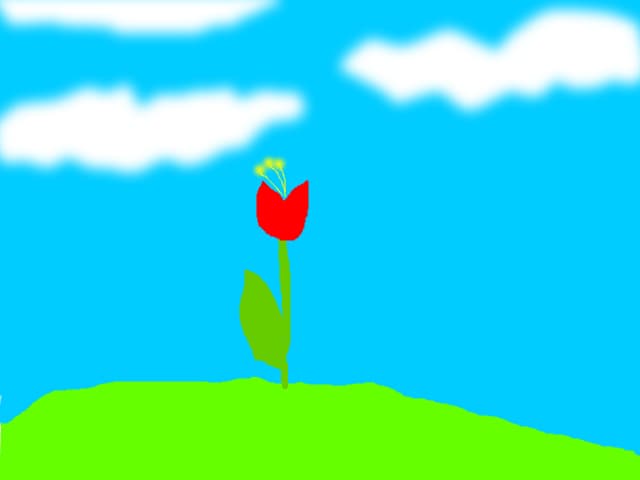 flori