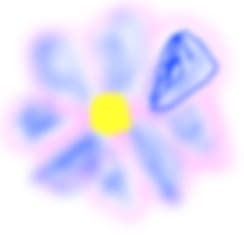o floricica