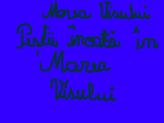 marea visului