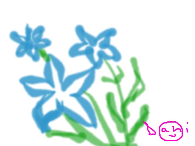 flori