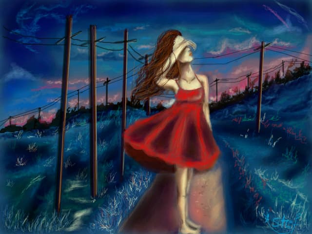 Sunset dreamer