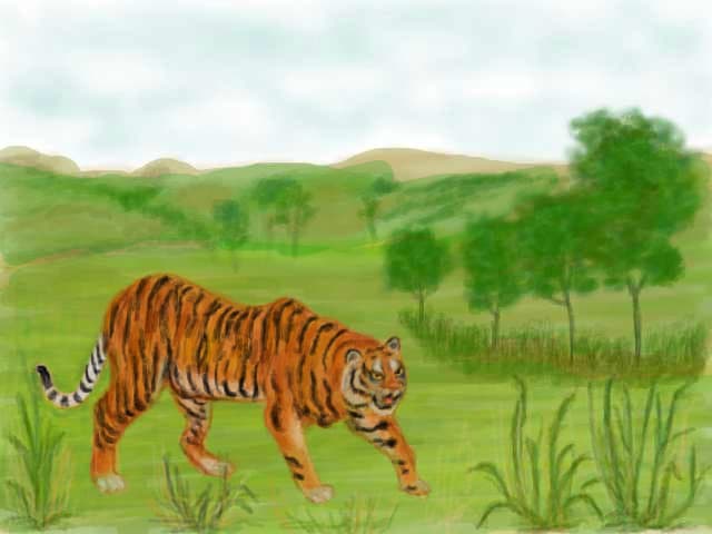Felina