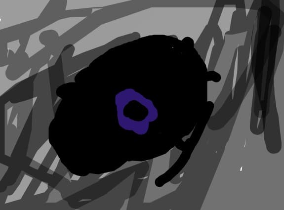 ochiul