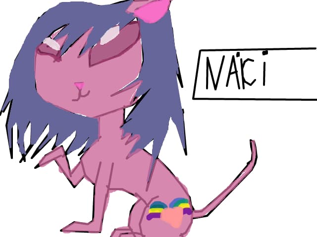 naici(neisi)