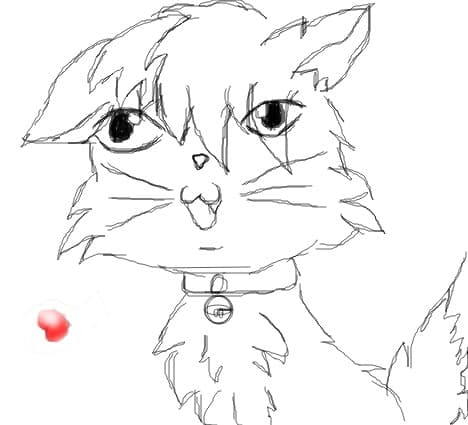 Kitty
