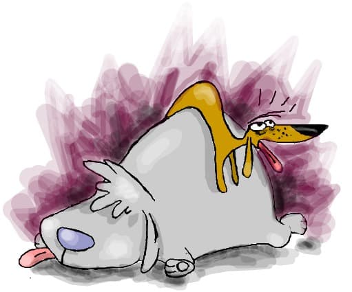 two stupid dogs