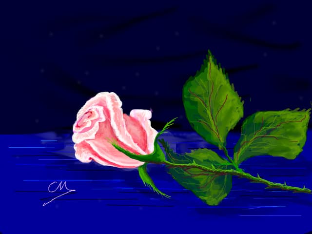 rose