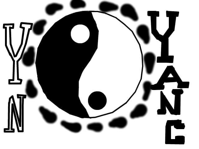 yn yang