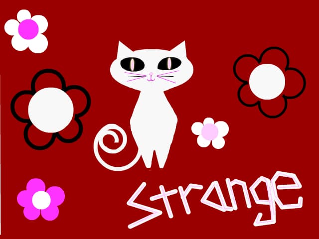 Strange Kitty