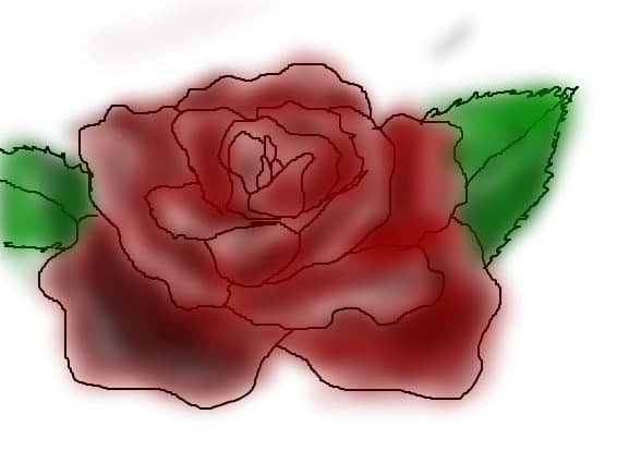 rose