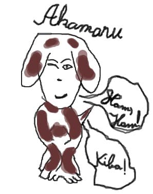 akamaru