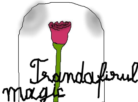 Trandafirul magic