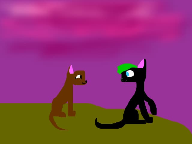 CxD cats