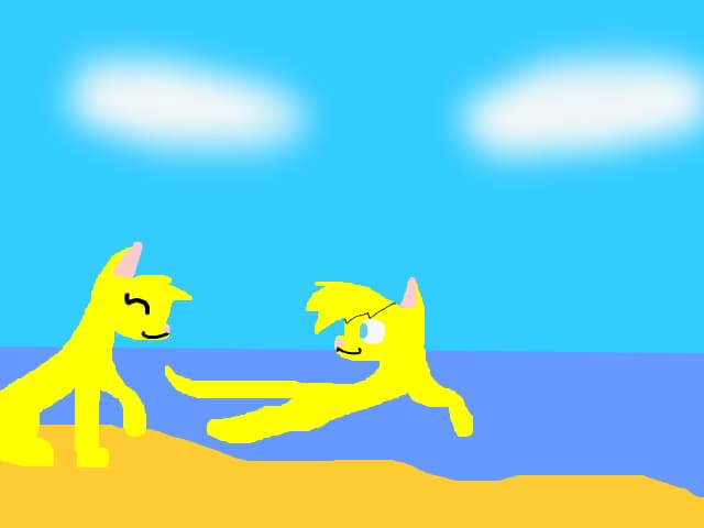 BxG cats