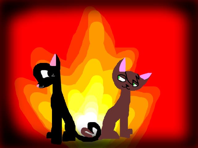 AxH cats