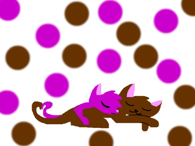 SxC cats