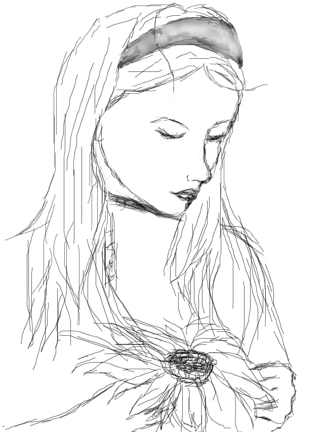 schita
