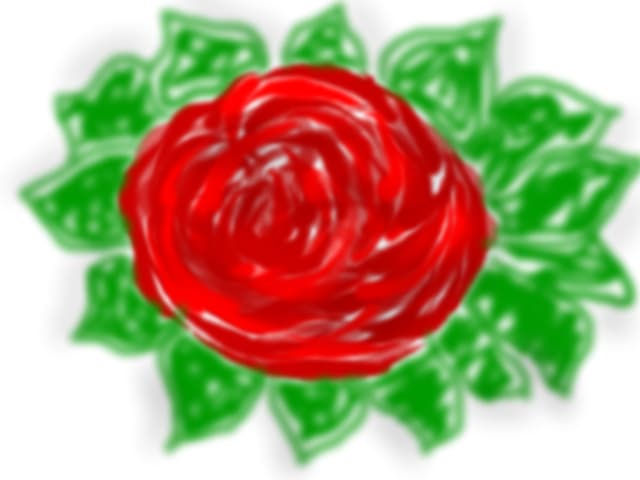 un trandafir urat