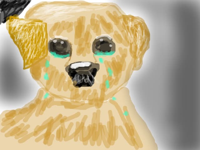 cutzu trist