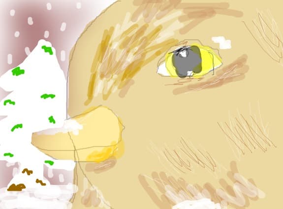 vultur