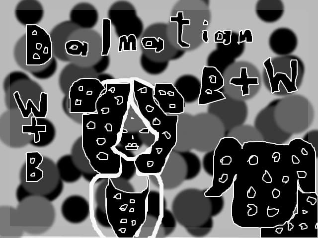 dalmatian