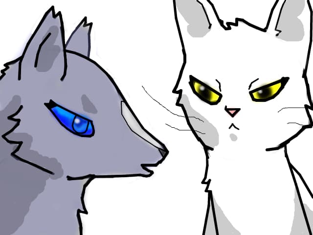 BlueStar &amp; WhiteStorm