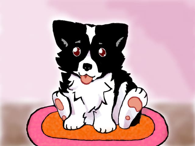 Cute Puppy