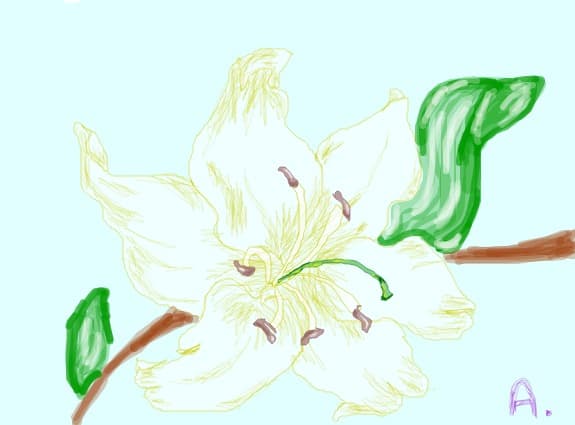 O floare