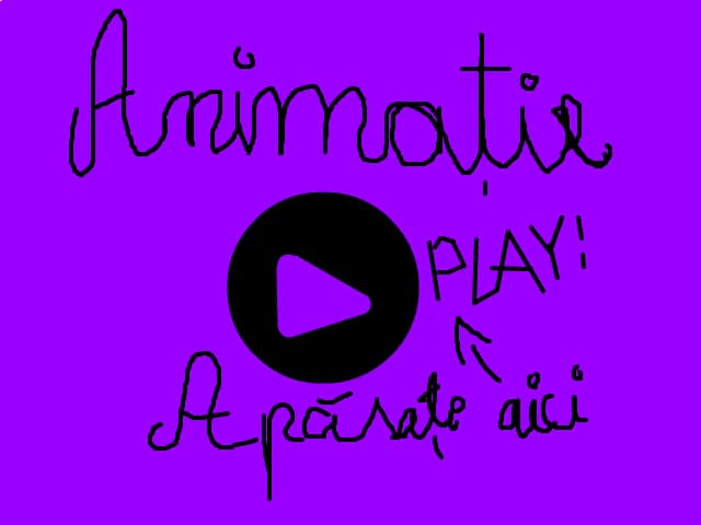 animatie
