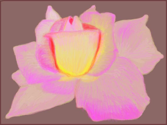 O floare