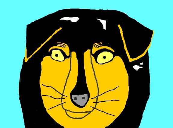 Catel