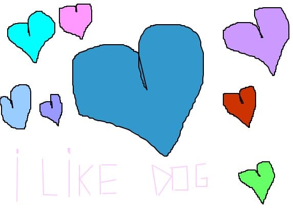 I like dog