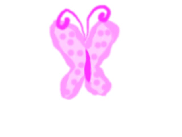 butterfly