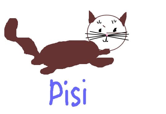 Pisi
