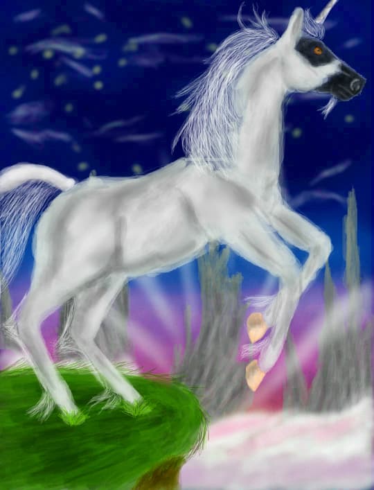 Unicorn 2