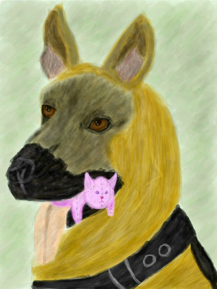 German Shepherd