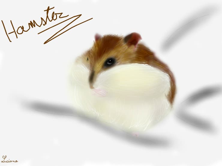 hamster