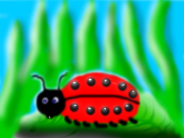 buburuza
