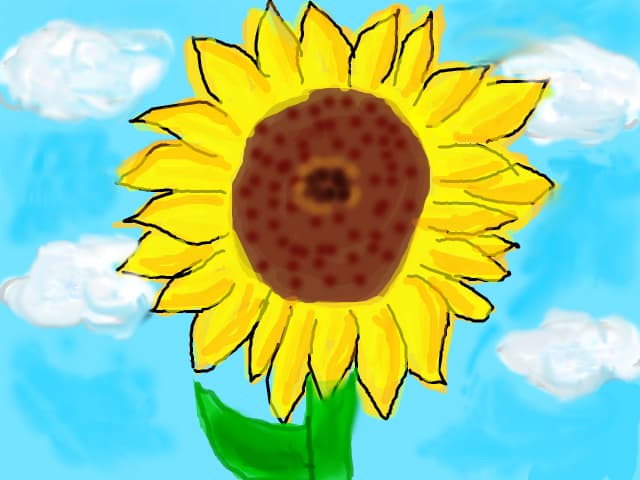 floarea-soarelui^_^