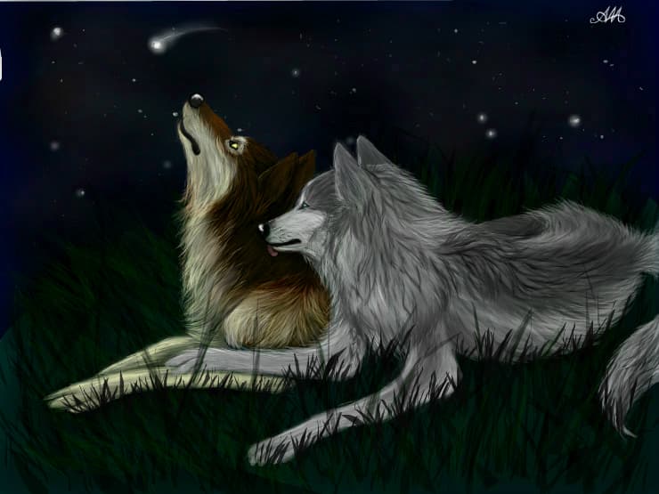 Wolves