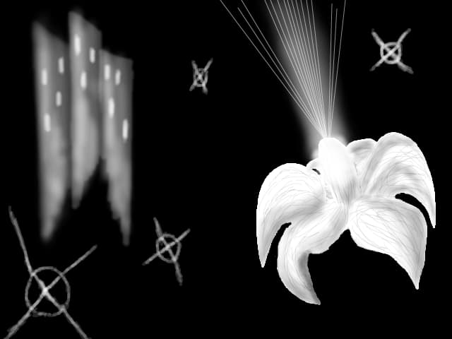 ...