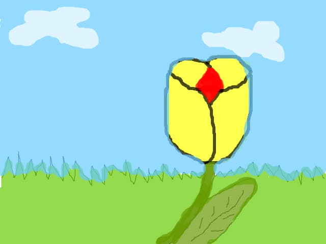 o floare