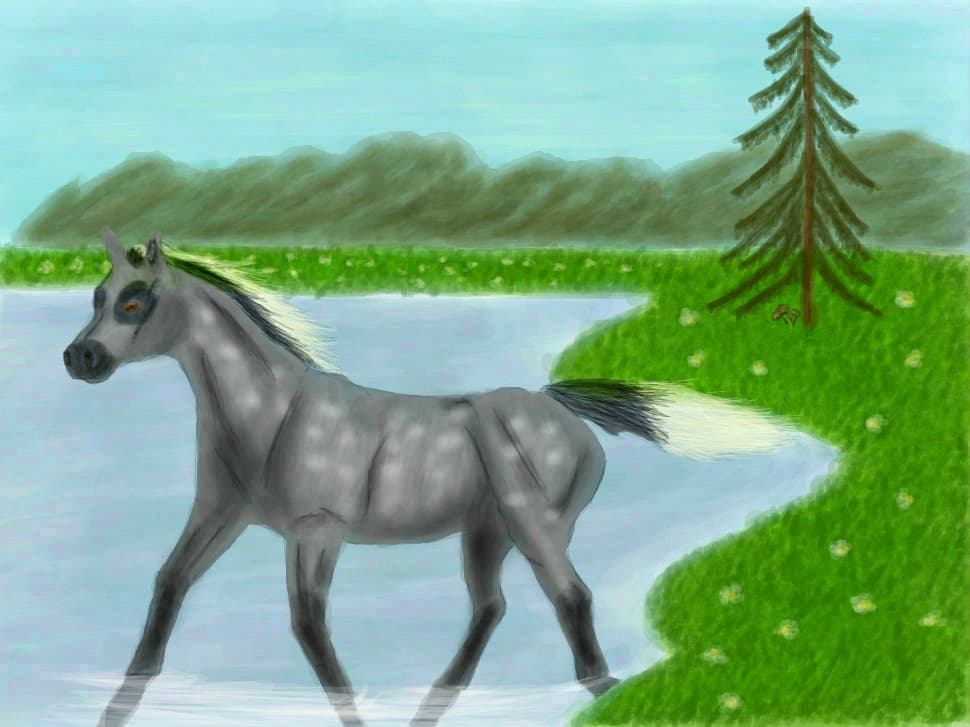 Horse breeds:Irish Draught