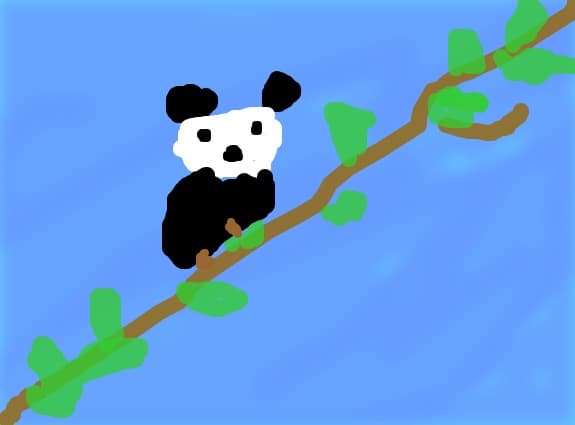 urs panda