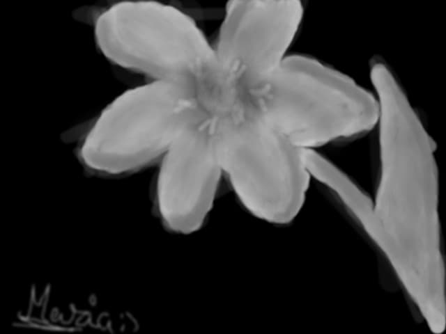 Floare[dati mare]